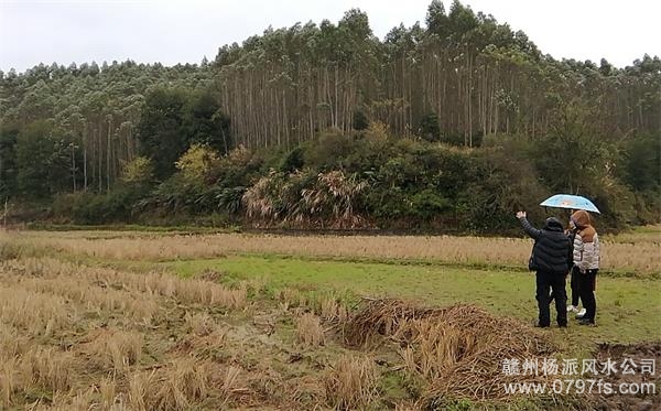 伊春市陈老师带着爱徒寻龙点穴